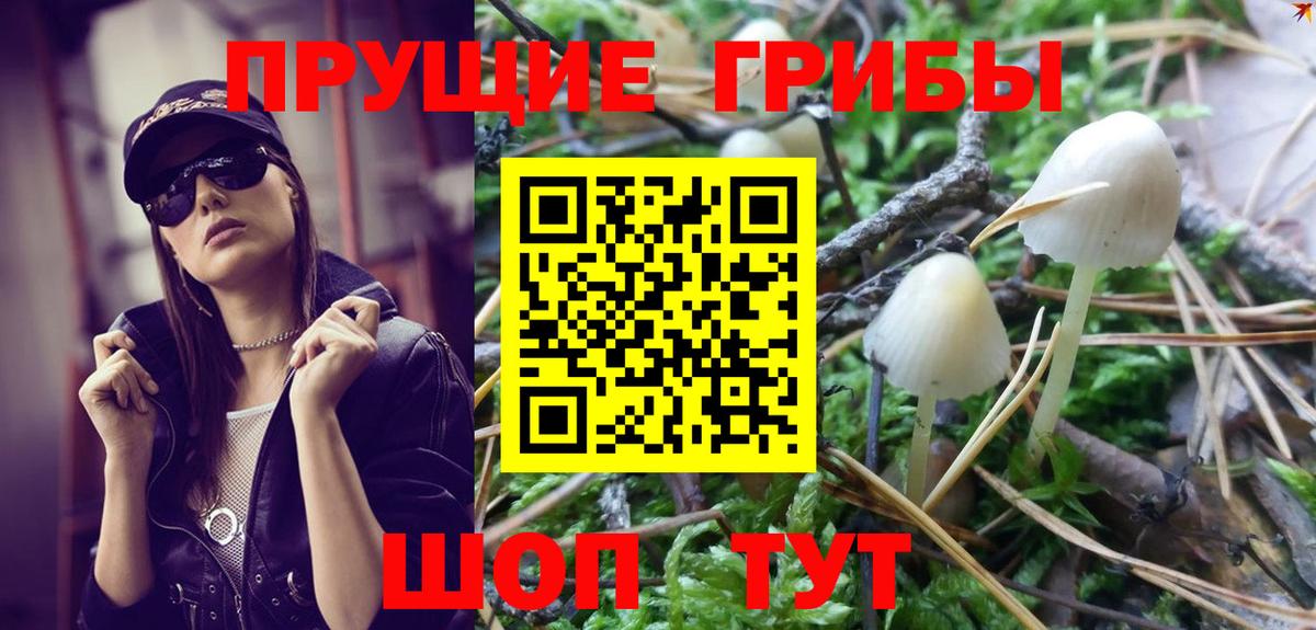 Галлюциногенные грибы Magic Shrooms  Вход с VPN  Гудермес 