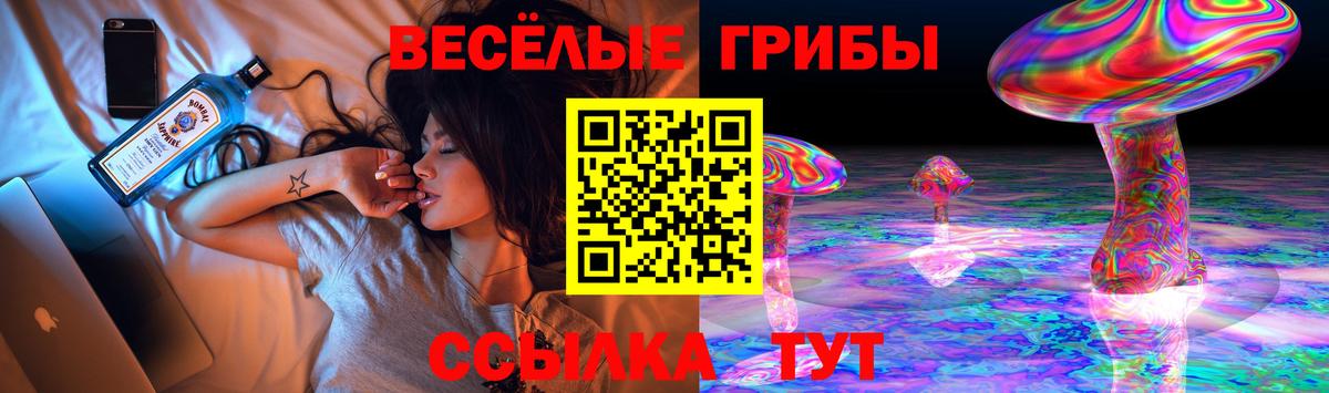 Галлюциногенные грибы мухоморы Гудермес
